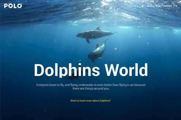 Polo One Page (version 4)