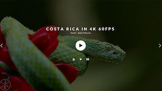 Polo Revolution Slider