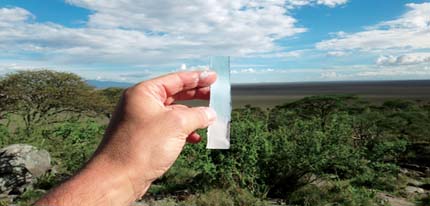 G-net Digital Solution