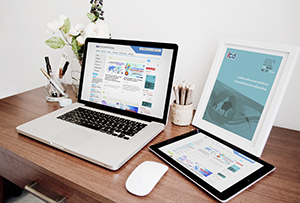 สถาบันระหว่างประเทศเพื่อการค้าและการพัฒนา